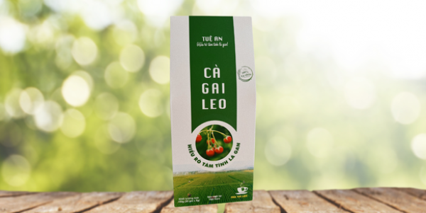 Trà túi lọc cà gai leo 1