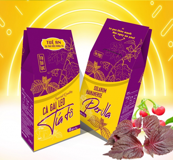 Trà túi lọc hộp